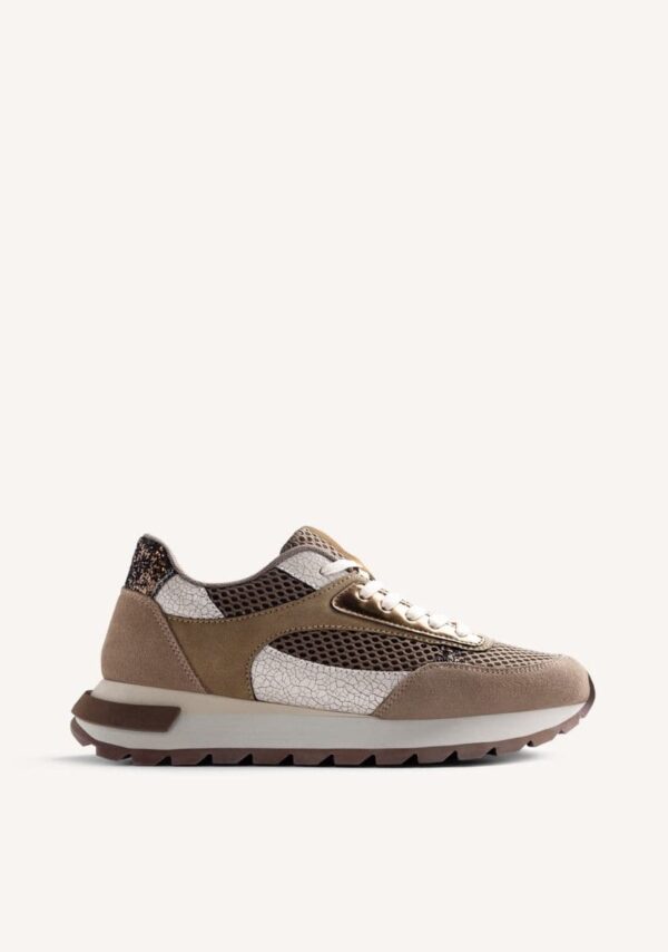 Zapatillas Piel y Rejilla Funkley Gioseppo