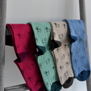 Calcetines Perritos Noco