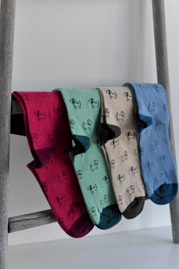 Calcetines Perritos Noco