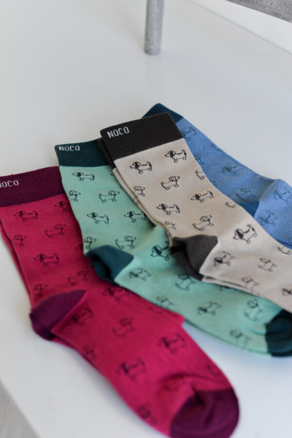 Calcetines Perritos Noco - Imagen 4