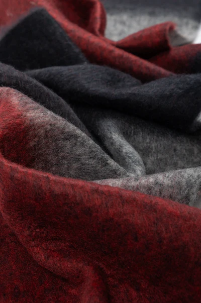 Bufanda Estampada con Flecos Anekke - Imagen 5