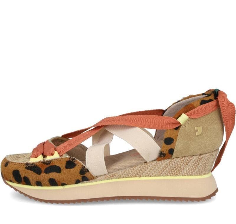 Sandalia Deportiva Desinic Gioseppo